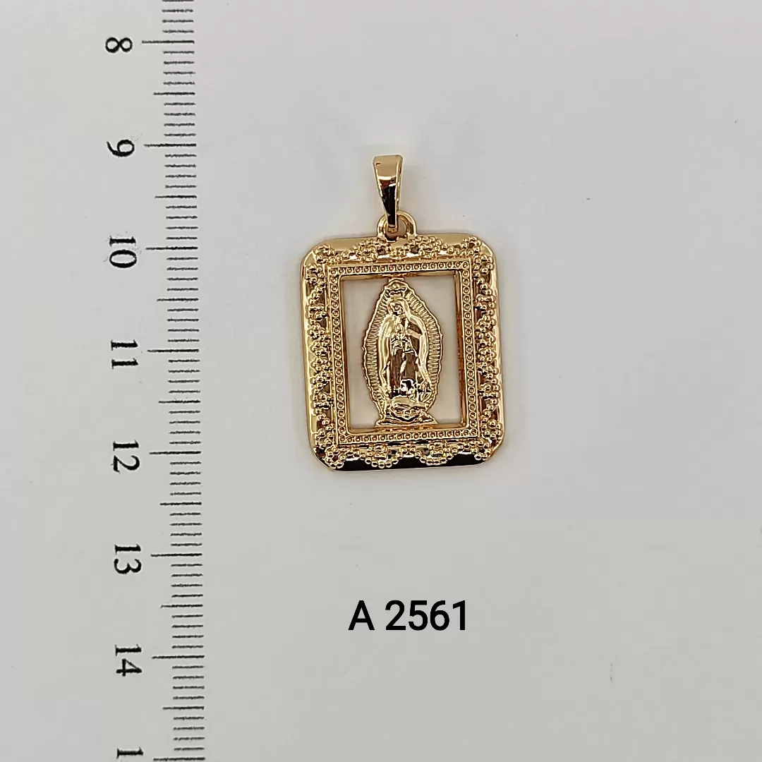 A 2561
